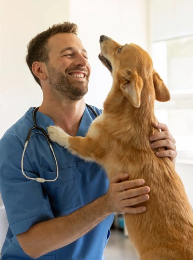 A veterinarian in a white coat holding a tablet