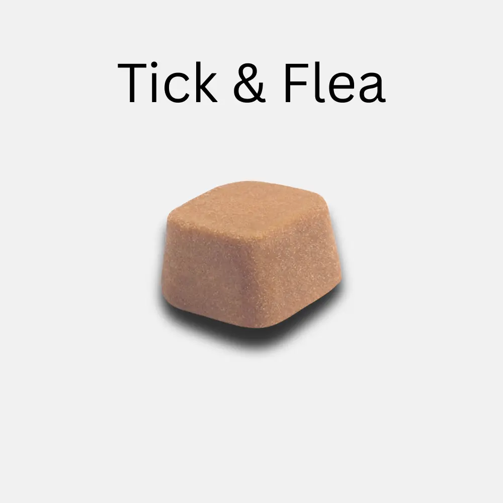 Tick & Flea